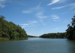 Buildable Lot in Charming Ozark Acres, Arkansas!