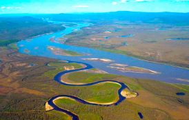 Charlotte County, Florida: Nature Lover's Paradise Near Golf & Peace River!