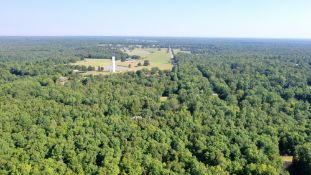 FOUR Adjacent Buildable Lots in Ozark Acres, Arkansas!