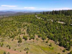 Nearly an Acre: California Corner Lot in Modoc County!