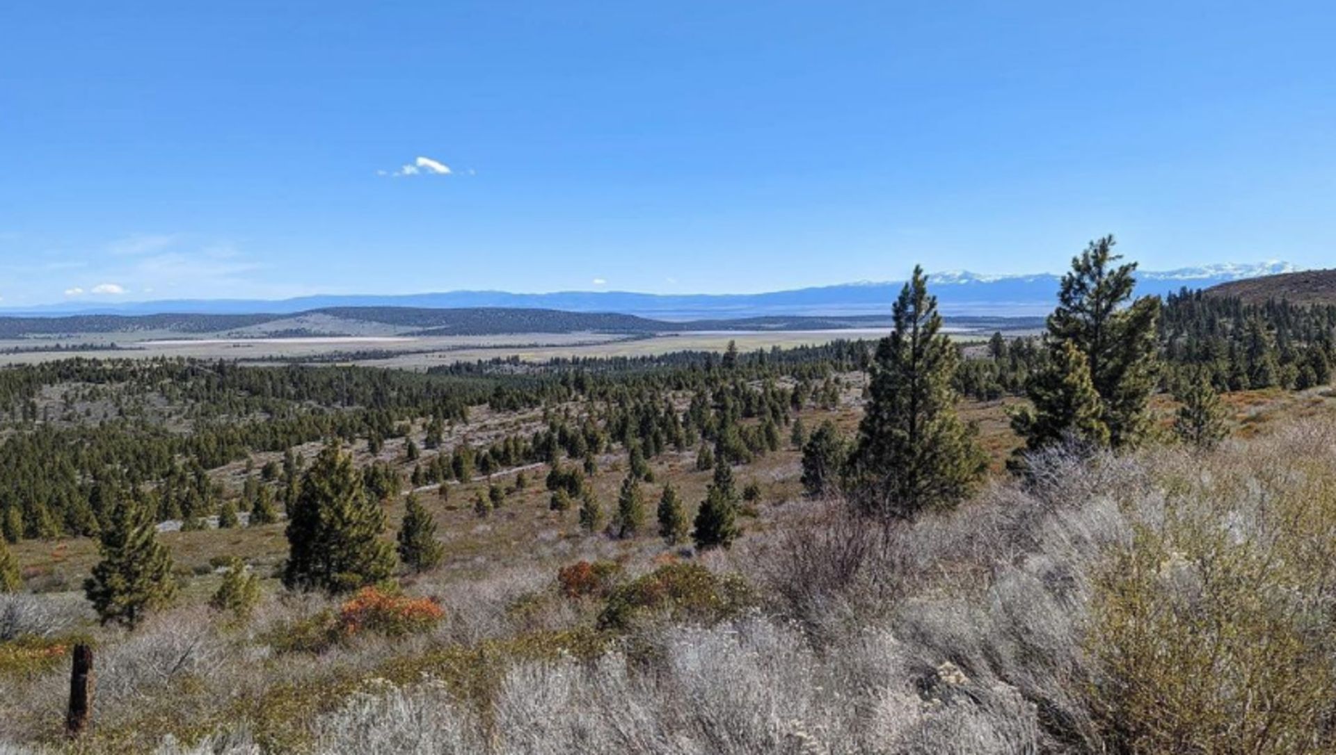 Modoc County, California: 10 Lot Package! BIDDING IS PER LOT! - Image 6 of 7