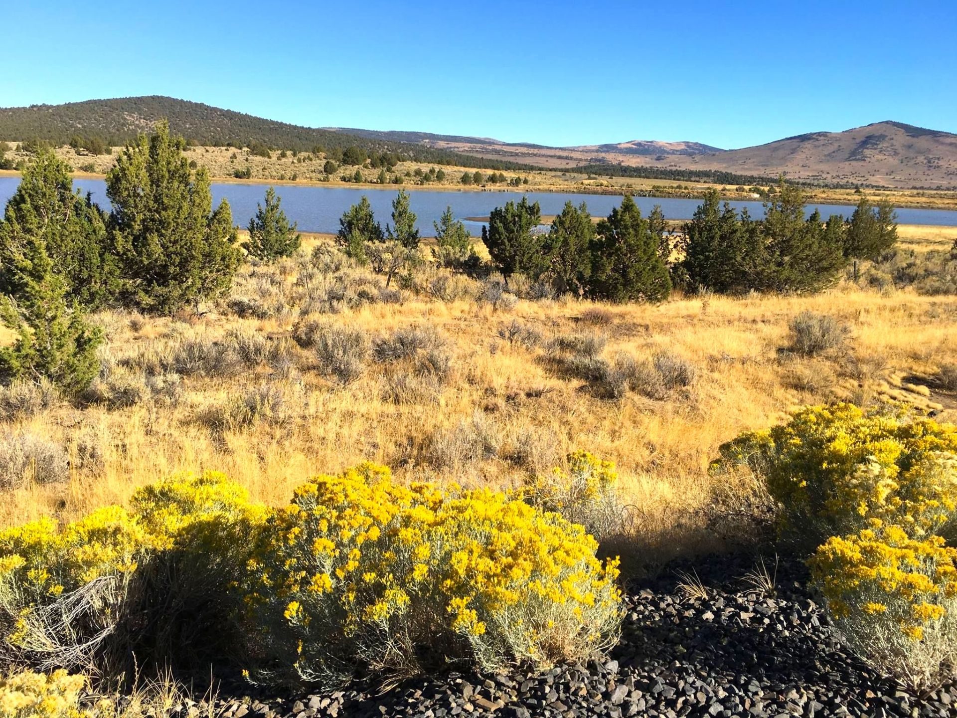 Modoc County, California: 10 Lot Package! BIDDING IS PER LOT! - Image 7 of 7