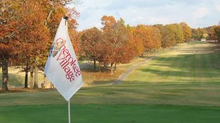 Cherokee Village, Arkansas; 20 Lot Package! BIDDING IS PER LOT!