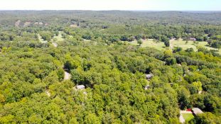 FINANCE - 20 Buildable Lots in Arkansas! Your Bid is Your Down Payment!