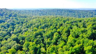 Build on TEN Adjacent Lots in Ozark Acres, Arkansas!