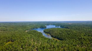 24 Acres Near Bog Lake in Northfield, Maine!