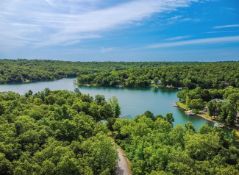 20 Buildable Lots in Sharp County, Arkansas! BIDDING IS PER LOT!