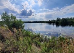 Polk County: Invest in Florida's Growth!