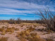 Serene 1.31-Acre Getaway in Beautiful Holbrook, Arizona!