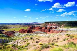 1.26 Acre Plot in Historic Navajo County, Arizona!