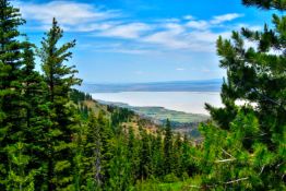 Buy into California Pines, Over an Acre in Modoc County!