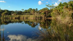 Charlotte County, Florida Lot Close to the Creek!