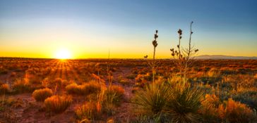 Prime Land Investment in Valencia County, NM!