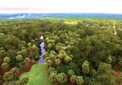 1.27 Acre Wooded Lot in Polk County, Florida!