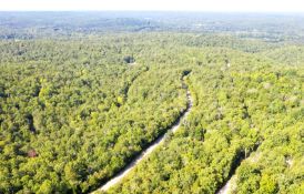 Build Your Dream Home or Airbnb on Adjacent Lots in Arkansas!