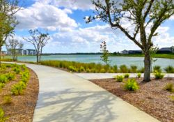 Pair of Adjacent Lots in Sunny Charlotte County, Florida!