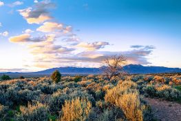 Quarter-Acre Lot in Valencia County, New Mexico!
