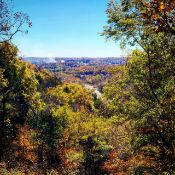 Buildable Your Dream in Charming Ozark Acres, Arkansas!