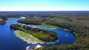 Grays Harbor, Washington: Just Steps from the Moclips Beach and the Pacific Ocean!