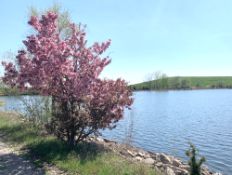 Walking Distance to the Saginaw River in Michigan!