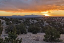 Exciting Developments Unfold in New Mexico - Secure Your Land Today!