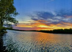 Cherokee Village, Arkansas: 20 Lot Package! BIDDING IS PER LOT!