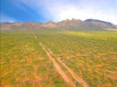 Discover Breathtaking Arizona: Expansive Five Acre Lot Near Joseph City!