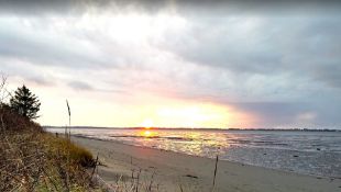 Grays Harbor, Washington: Walk to Moclips Beach and the Pacific Ocean!