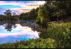 Invest in the Ozarks: 20 Buildable Lots in Cherokee Village, AR! BIDDING IS PER LOT!