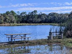 Polk County, Florida: Your Own Spot to Soak Up the Sun!