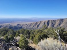 Quarter-Acre Lot Near the Mountains in New Mexico!