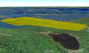 216 Acres in Washington County, Maine! BIDDING IS PER ACRE!