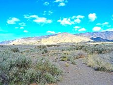 Growth Awaits: Invest in a Quarter-Acre Lot in New Mexico's Promising Landscape!