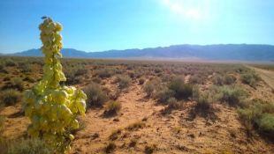 Experience the Growth of Valencia County, New Mexico!