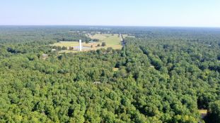 Short Walk to Spring Lake: Ozark Acres, Arkansas!