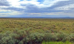 76 Acres in Navajo County, Arizona!