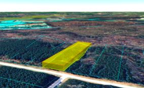 Your Future Homesite in Georgia Awaits!