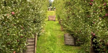 Explore Montcalm County, Michigan!