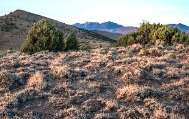 10 Acres of Nevada Land for Your Investment Portfolio!