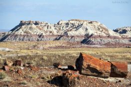 Embrace Navajo History with Land Ownership Near Holbrook, Arizona!