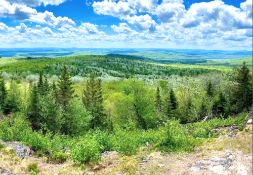 43 Acres in Aroostook County, Maine!