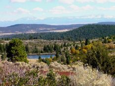 Explore California Pines in Modoc County, CA!