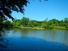 Over an Acre by the River in Van Buren County, Michigan!