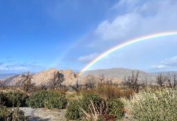 Secure Your Place in Los Angeles County's Thriving Future!