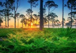 Charlotte County, Florida: Scenic Land Along Shell Creek!