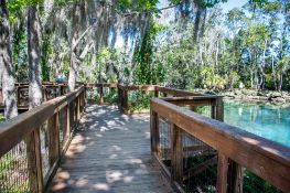 Adventure Starts Here: Homosassa in Citrus County, Florida!