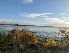 Grays Harbor, Washington: Your Slice of Paradise in the Great Pacific Northwest!