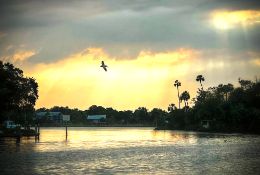 Discover Coastal Charm and Outdoor Adventure in Homosassa, FL!