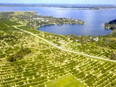 Polk County, Florida: Your Freshwater Fishing Paradise!