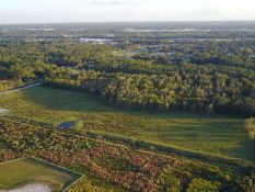 1.25 Acres in Sunny Polk County, Florida!